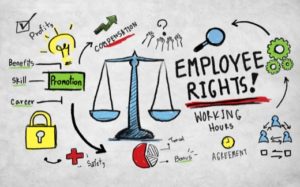 Basic Employee Rights