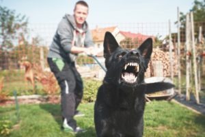 Who Is Liable: Dog Bites Someone While in the Care of a Dog Sitter