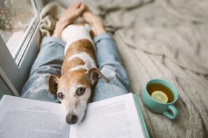 Can a Landlord Be Held Liable for a Dog Bite?
